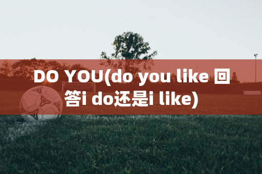 DO YOU(do you like 回答i do还是i like)