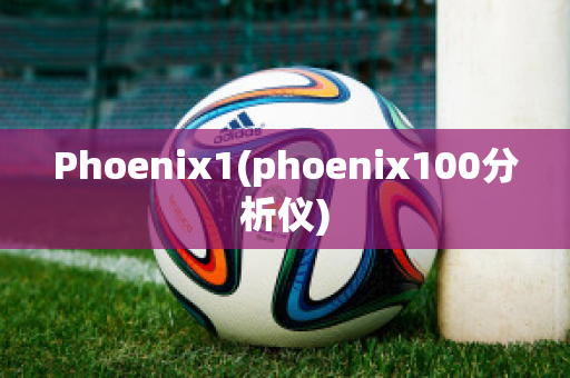 Phoenix1(phoenix100分析仪)