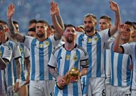 阿根廷职业足球联赛ds:阿根廷职业足球联赛DS